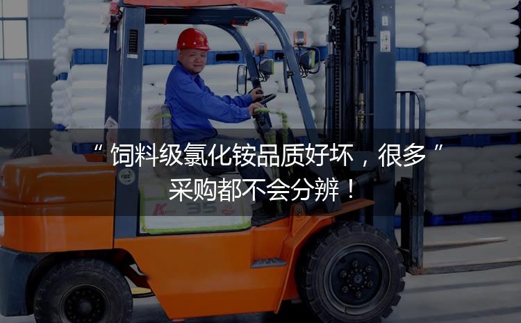 飼料級氯化銨品質(zhì)好壞，很多采購都不會分辨！