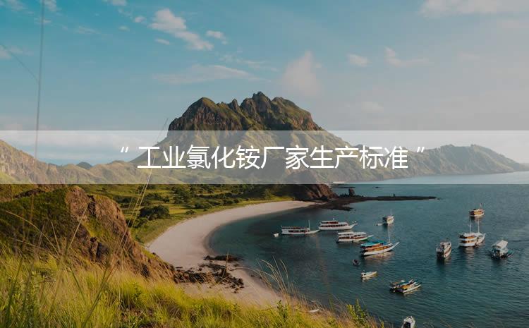 工業(yè)氯化銨廠家生產(chǎn)標(biāo)準(zhǔn)，生產(chǎn)過程進(jìn)行嚴(yán)密的監(jiān)控！