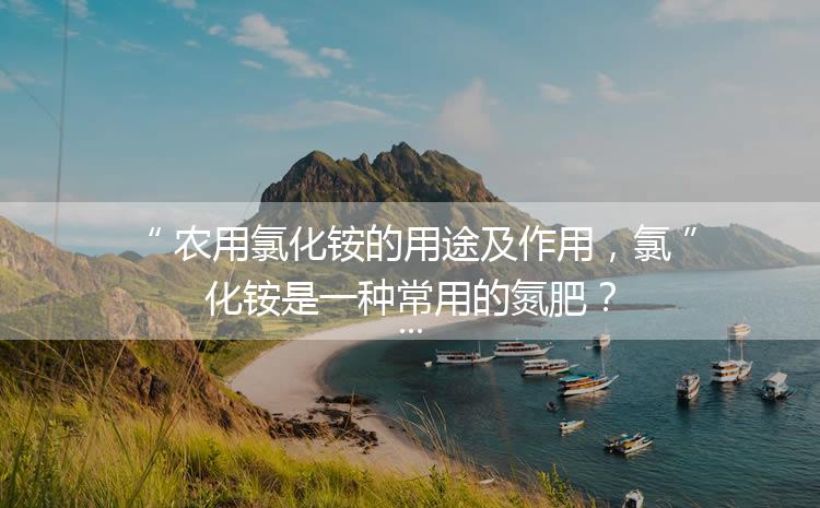 農(nóng)用氯化銨的用途及作用，氯化銨是一種常用的氮肥？